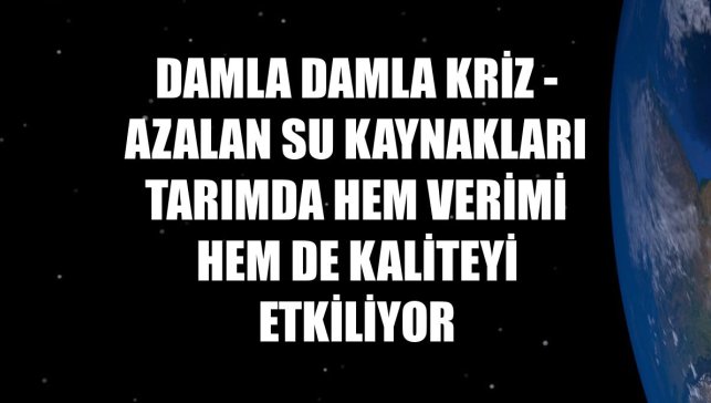 DAMLA DAMLA KRİZ - Azalan su kaynakları tarımda hem verimi hem de kaliteyi etkiliyor