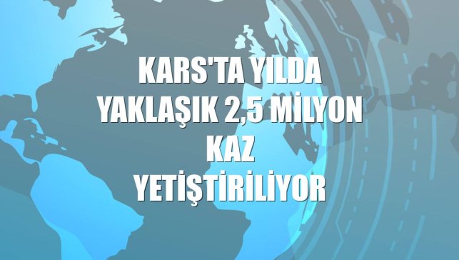 Kars'ta yılda yaklaşık 2,5 milyon kaz yetiştiriliyor