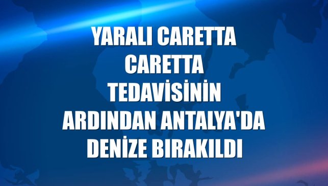 Yaralı Caretta caretta tedavisinin ardından Antalya'da denize bırakıldı