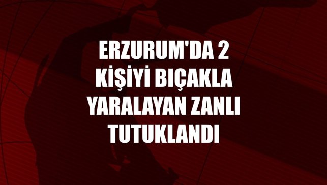 Erzurum'da 2 kişiyi bıçakla yaralayan zanlı tutuklandı