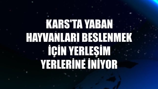Kars'ta yaban hayvanları beslenmek için yerleşim yerlerine iniyor