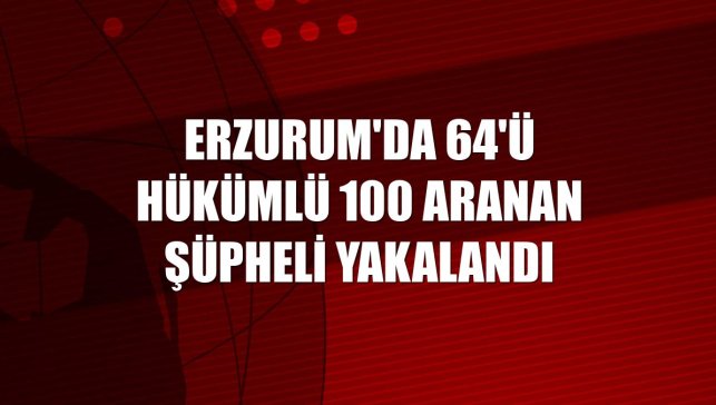 Erzurum'da 64'ü hükümlü 100 aranan şüpheli yakalandı