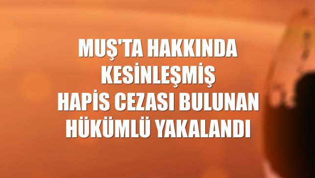 Muş'ta hakkında kesinleşmiş hapis cezası bulunan hükümlü yakalandı