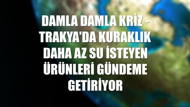 DAMLA DAMLA KRİZ - Trakya'da kuraklık daha az su isteyen ürünleri gündeme getiriyor