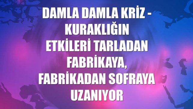 DAMLA DAMLA KRİZ - Kuraklığın etkileri tarladan fabrikaya, fabrikadan sofraya uzanıyor
