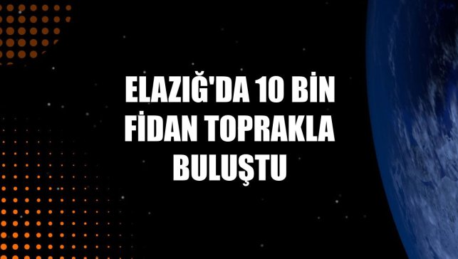 Elazığ'da 10 bin fidan toprakla buluştu