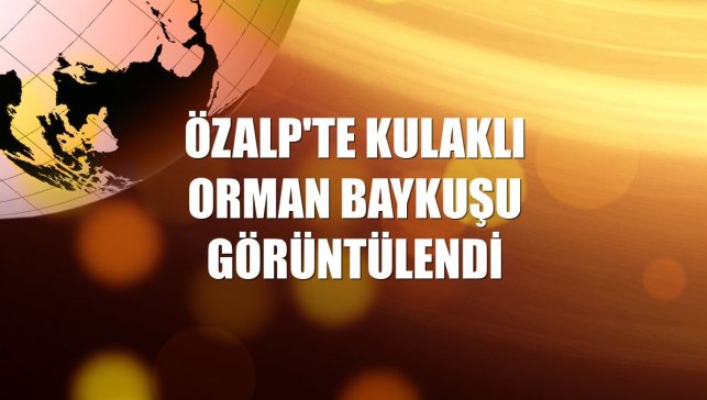 Özalp'te kulaklı orman baykuşu görüntülendi