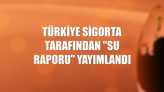 Türkiye Sigorta tarafından "Su Raporu" yayımlandı