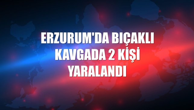 Erzurum'da bıçaklı kavgada 2 kişi yaralandı