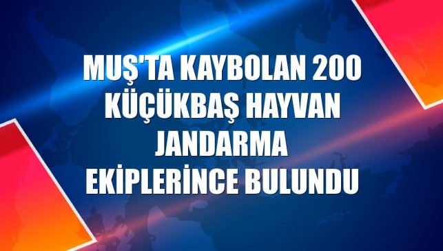 Muş'ta kaybolan 200 küçükbaş hayvan jandarma ekiplerince bulundu