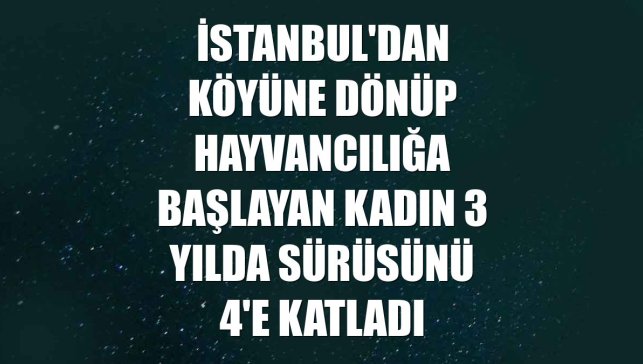 İstanbul'dan köyüne dönüp hayvancılığa başlayan kadın 3 yılda sürüsünü 4'e katladı
