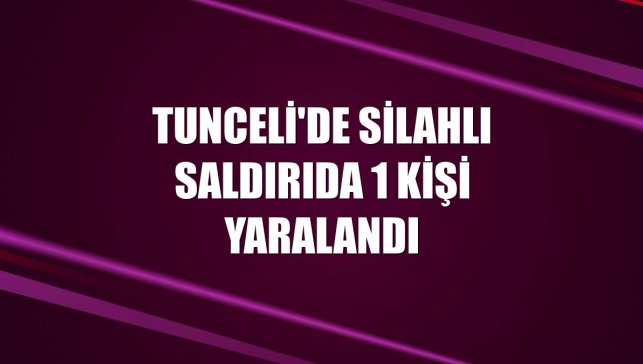 Tunceli'de silahlı saldırıda 1 kişi yaralandı