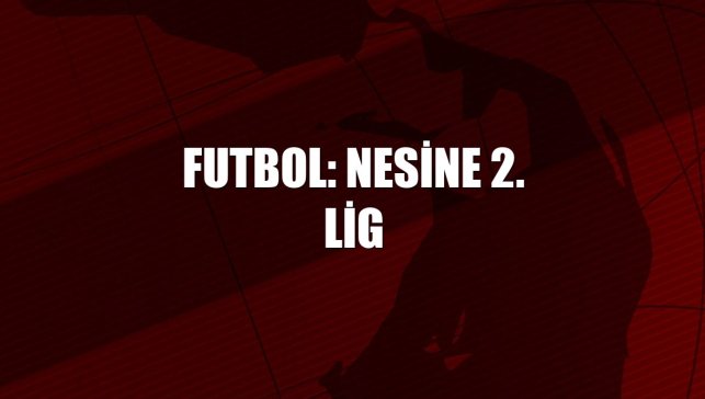 Futbol: Nesine 2. Lig