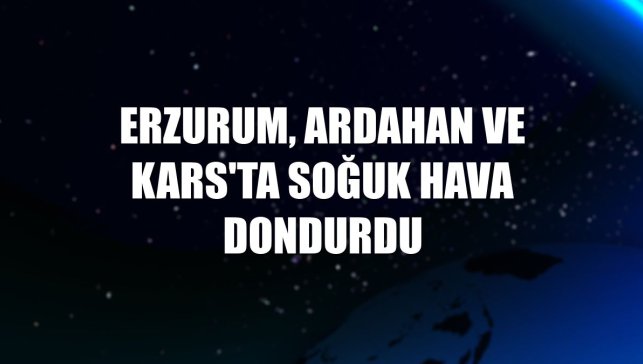 Erzurum, Ardahan ve Kars'ta soğuk hava dondurdu