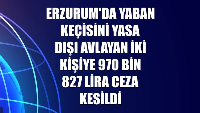 Erzurum'da yaban keçisini yasa dışı avlayan iki kişiye 970 bin 827 lira ceza kesildi