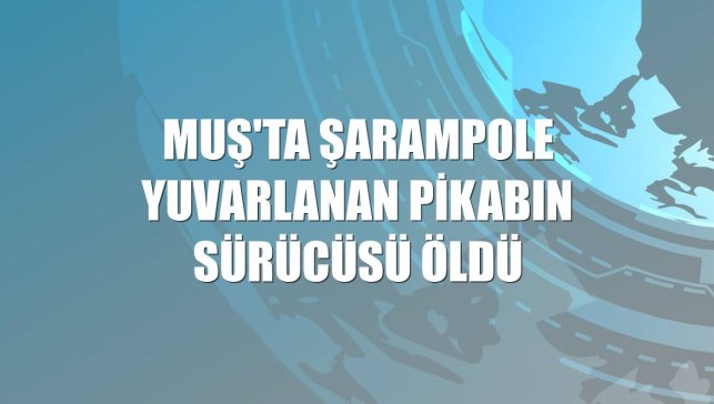 Muş'ta şarampole yuvarlanan pikabın sürücüsü öldü