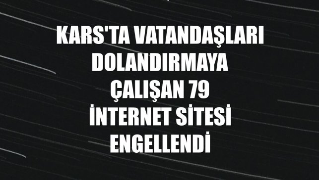 Kars'ta vatandaşları dolandırmaya çalışan 79 internet sitesi engellendi
