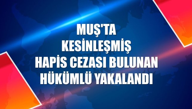 Muş'ta kesinleşmiş hapis cezası bulunan hükümlü yakalandı