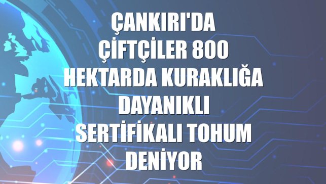 Çankırı'da çiftçiler 800 hektarda kuraklığa dayanıklı sertifikalı tohum deniyor