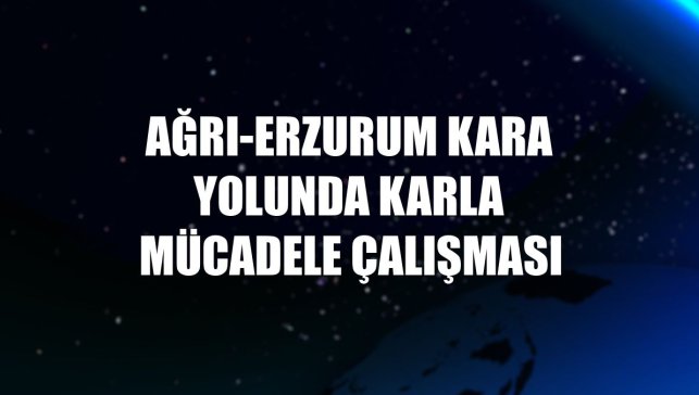 Ağrı-Erzurum kara yolunda karla mücadele çalışması