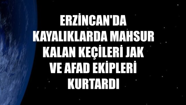 Erzincan'da kayalıklarda mahsur kalan keçileri JAK ve AFAD ekipleri kurtardı