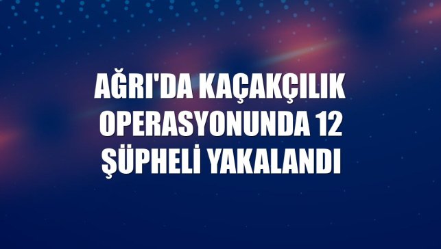 Ağrı'da kaçakçılık operasyonunda 12 şüpheli yakalandı