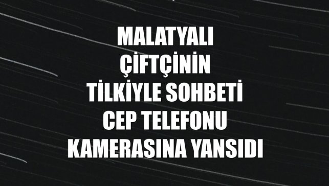 Malatyalı çiftçinin tilkiyle sohbeti cep telefonu kamerasına yansıdı