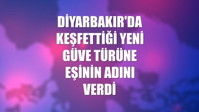 Diyarbakır'da keşfettiği yeni güve türüne eşinin adını verdi