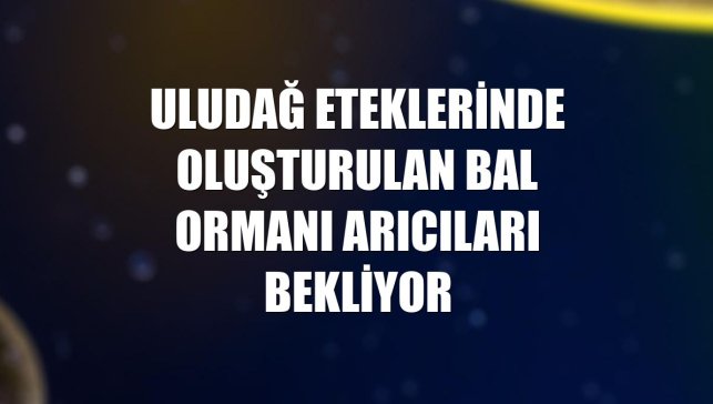Uludağ eteklerinde oluşturulan bal ormanı arıcıları bekliyor