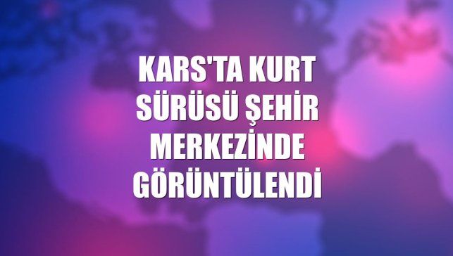 Kars'ta kurt sürüsü şehir merkezinde görüntülendi