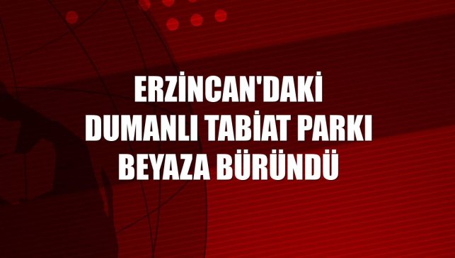 Erzincan'daki Dumanlı Tabiat Parkı beyaza büründü