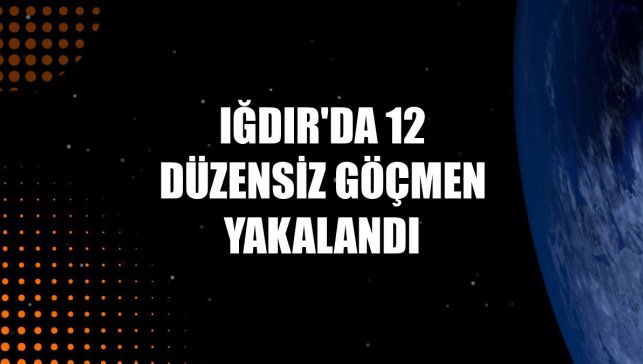 Iğdır'da 12 düzensiz göçmen yakalandı