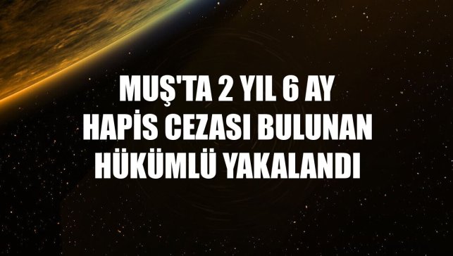Muş'ta 2 yıl 6 ay hapis cezası bulunan hükümlü yakalandı