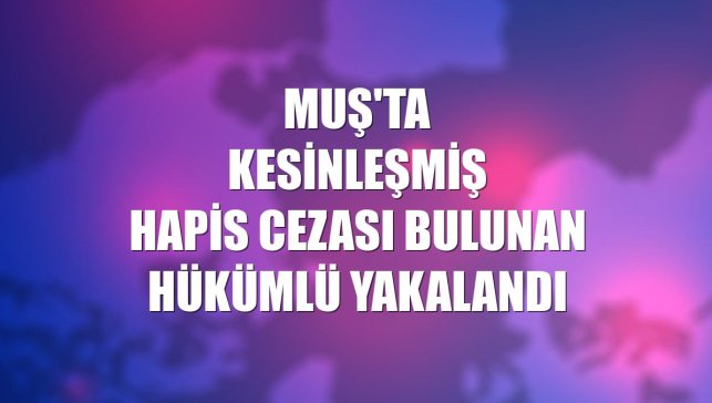 Muş'ta kesinleşmiş hapis cezası bulunan hükümlü yakalandı