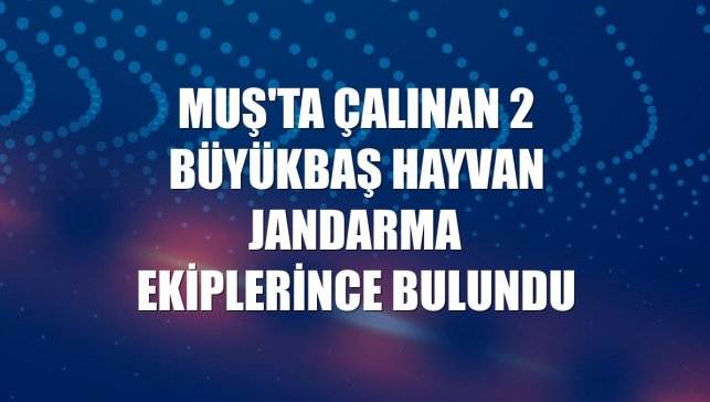 Muş'ta çalınan 2 büyükbaş hayvan jandarma ekiplerince bulundu