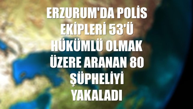 Erzurum'da polis ekipleri 53'ü hükümlü olmak üzere aranan 80 şüpheliyi yakaladı