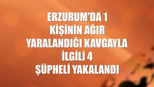 Erzurum'da 1 kişinin ağır yaralandığı kavgayla ilgili 4 şüpheli yakalandı
