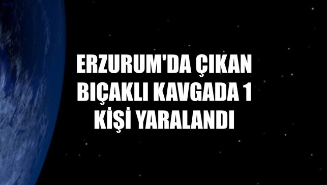 Erzurum'da çıkan bıçaklı kavgada 1 kişi yaralandı