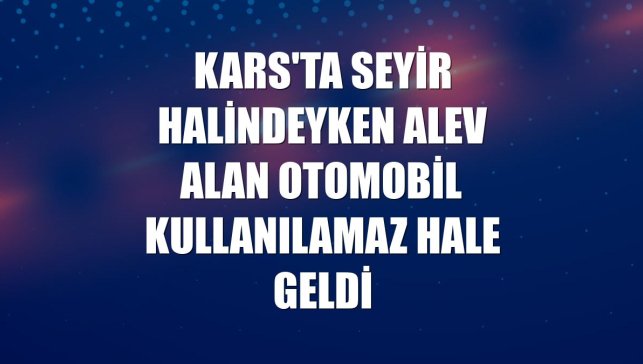 Kars'ta seyir halindeyken alev alan otomobil kullanılamaz hale geldi