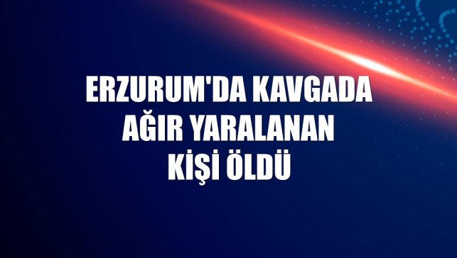 Erzurum'da kavgada ağır yaralanan kişi öldü