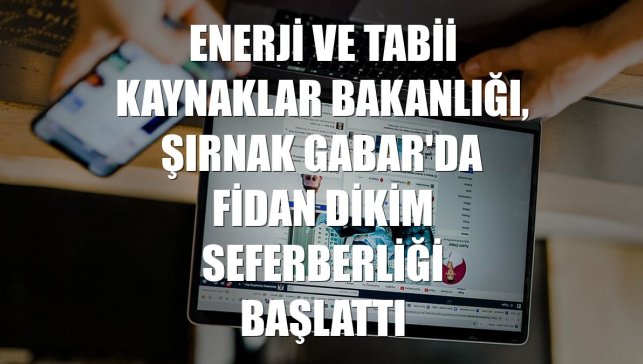 Enerji ve Tabii Kaynaklar Bakanlığı, Şırnak Gabar'da fidan dikim seferberliği başlattı