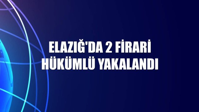 Elazığ'da 2 firari hükümlü yakalandı