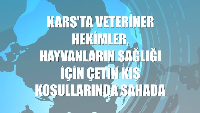 Kars'ta veteriner hekimler, hayvanların sağlığı için çetin kış koşullarında sahada