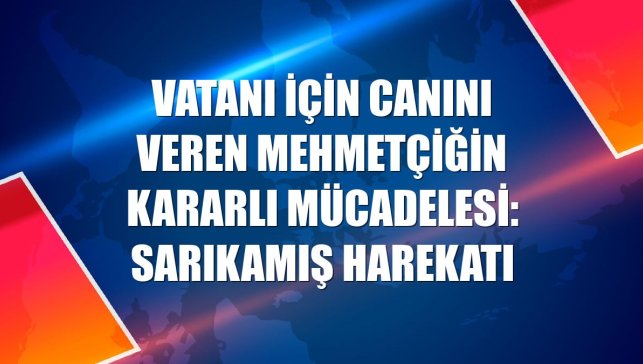 Vatanı için canını veren Mehmetçiğin kararlı mücadelesi: Sarıkamış Harekatı