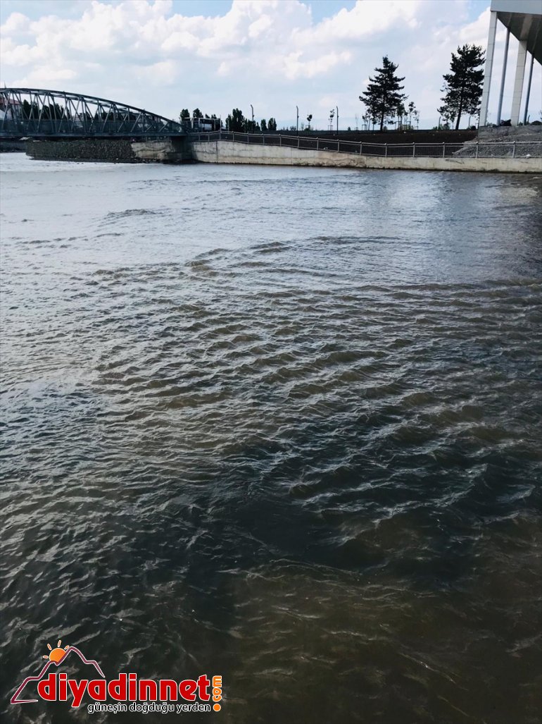 Belediye ekipleri Taşlıçay Deresi