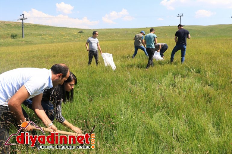 Kaçak salep soğanı toplayan kişiye 60 bin 163 lira ceza3