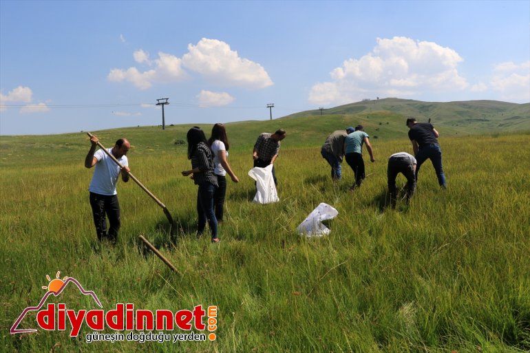 Kaçak salep soğanı toplayan kişiye 60 bin 163 lira ceza4