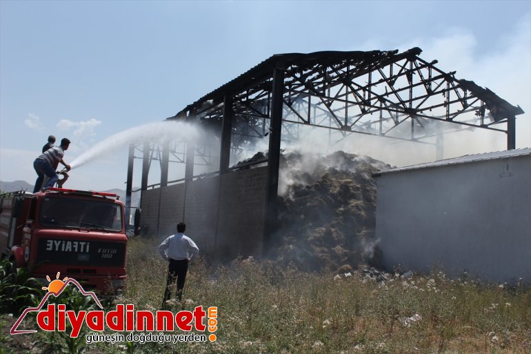 Besicinin umudu otlar yangında kül oldu1