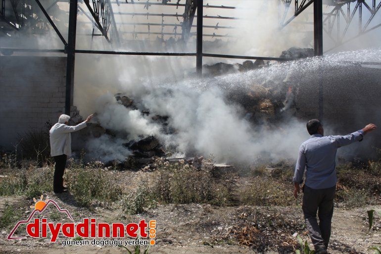 Besicinin umudu otlar yangında kül oldu2