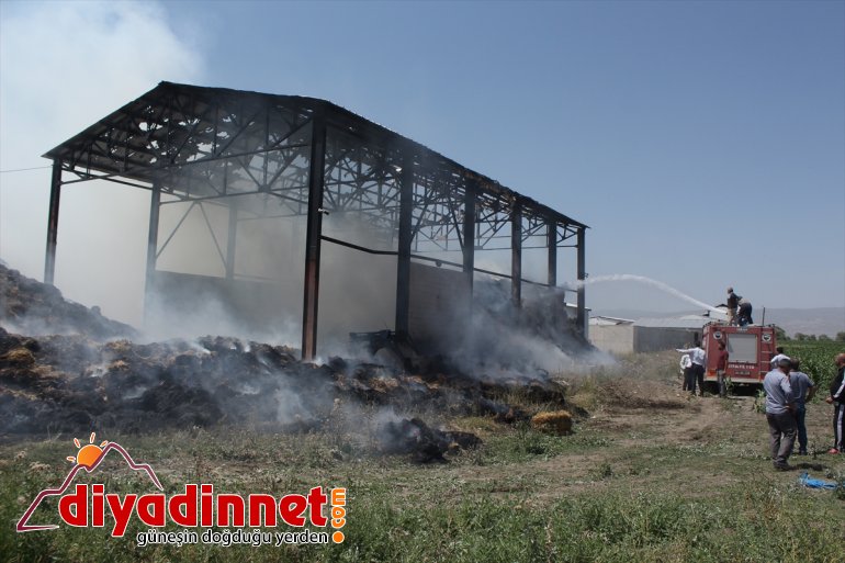 Besicinin umudu otlar yangında kül oldu3